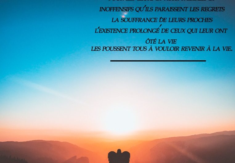 Vue de l’au-delà