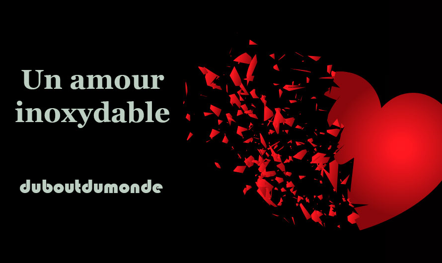 Un amour inoxydable